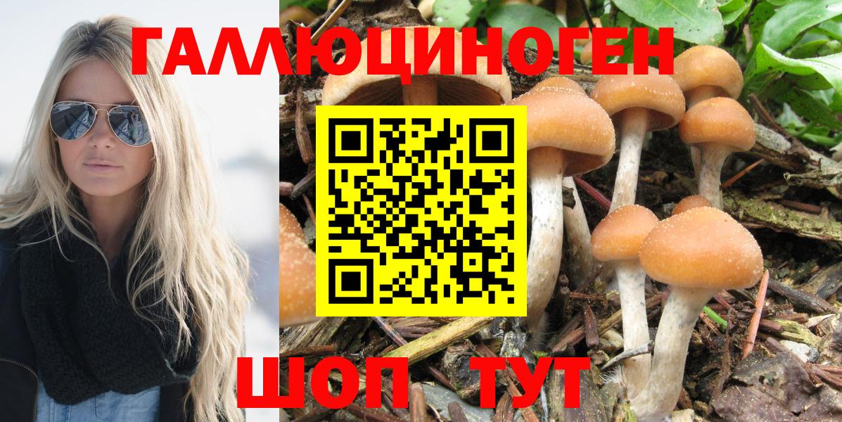 Галлюциногенные грибы GOLDEN TEACHER Химки