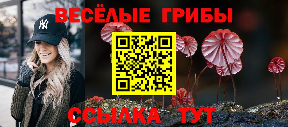 Псилоцибиновые грибы Psilocybine cubensis  Вход с VPN  Химки  Псилоцибиновые грибы Psilocybine cubensis 